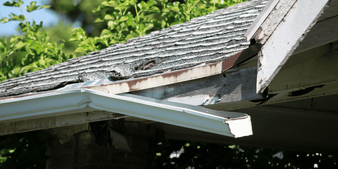 5 Signs Your Gutters Need Replacing (Before It’s Too Late!)