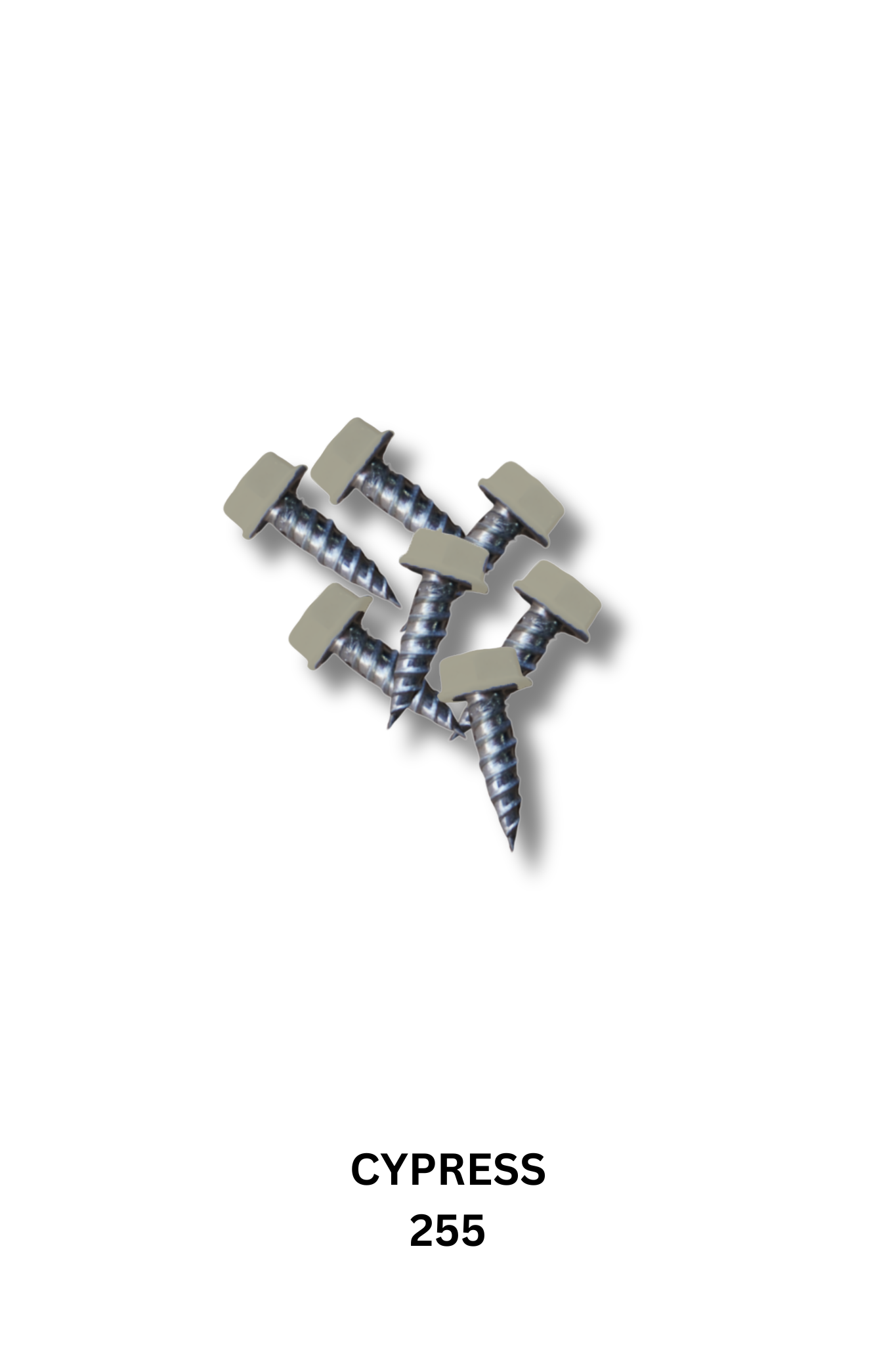 Zip Screw 1/2"